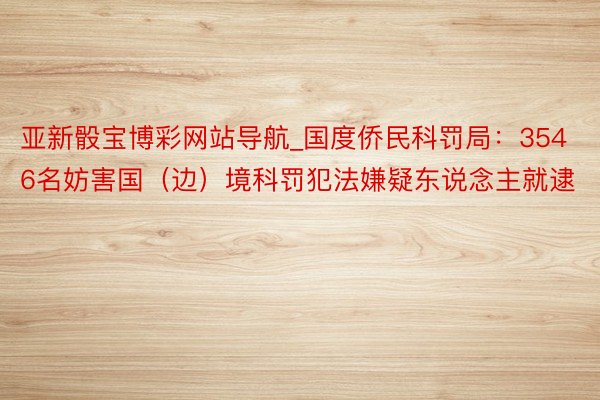 亚新骰宝博彩网站导航_国度侨民科罚局：3546名妨害国（边）境科罚犯法嫌疑东说念主就逮