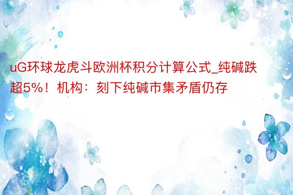 uG环球龙虎斗欧洲杯积分计算公式_纯碱跌超5%！机构：刻下纯碱市集矛盾仍存