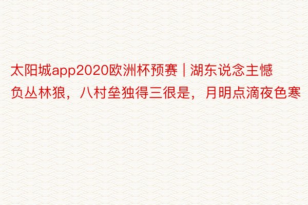 太阳城app2020欧洲杯预赛 | 湖东说念主憾负丛林狼，八村垒独得三很是，月明点滴夜色寒